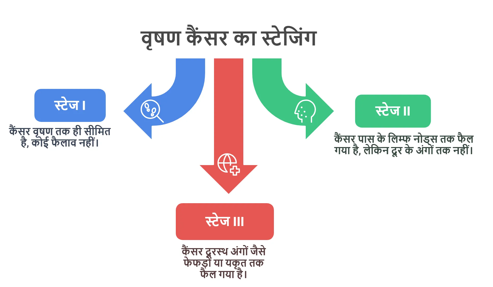 वृषण कैंसर का स्टेजिंग