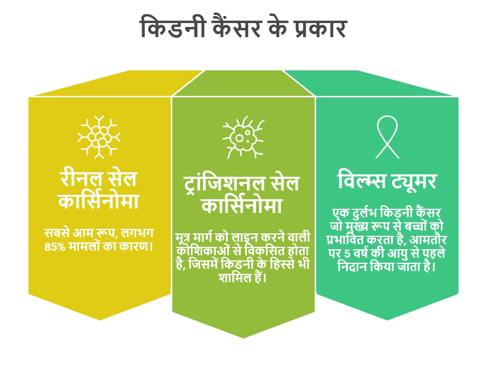 किडनी के कैंसर के प्रकार