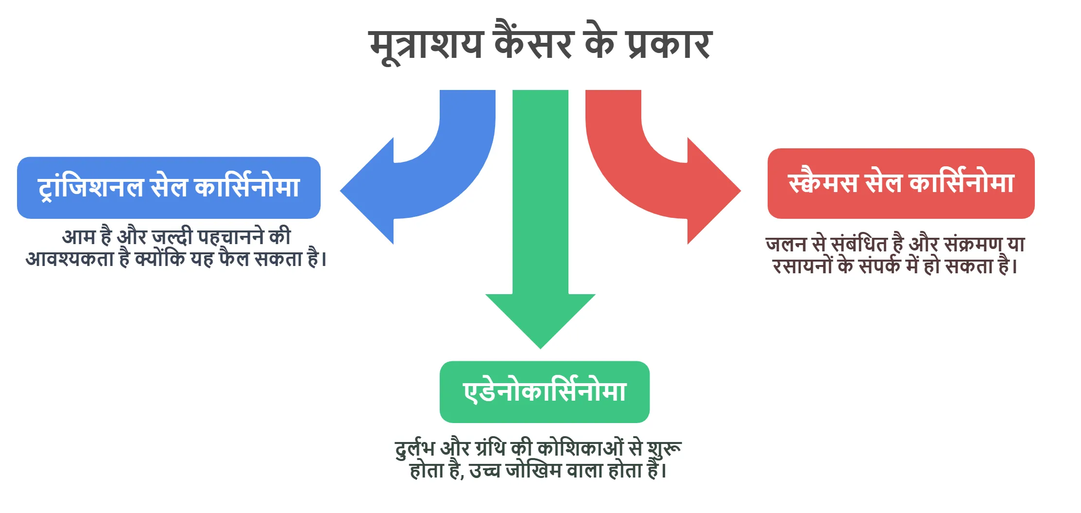 मूत्राशय कैंसर के प्रकार