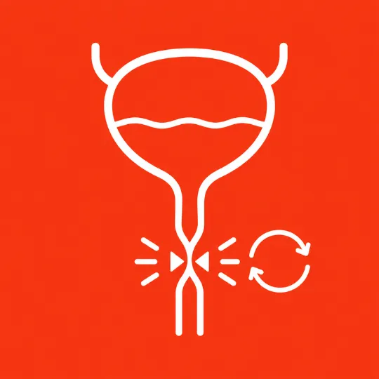 Recurrent urinary blockage or pain